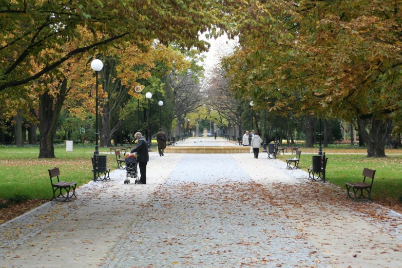 a paved path surrounded by benches and trees