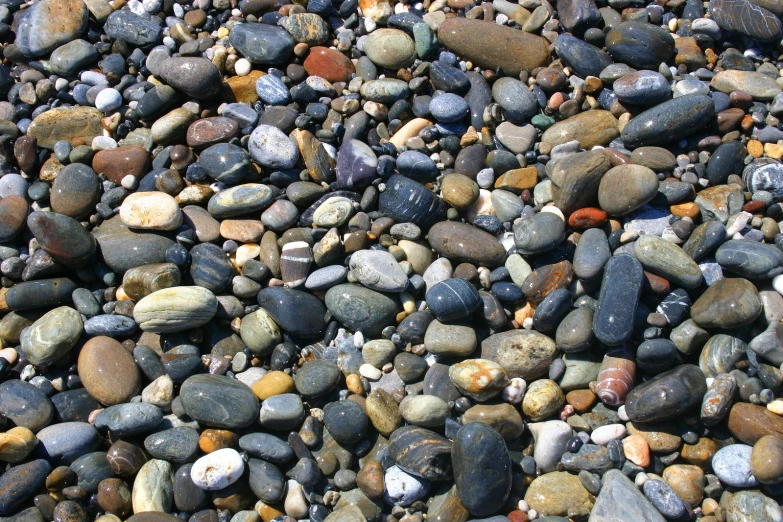 a closeup po of many rocks and shells
