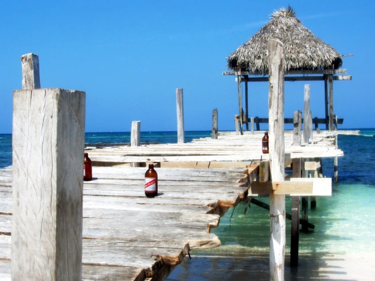 there is a straw roof that is near the water