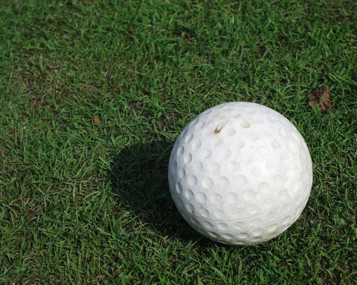 white golf ball laying on grass with shadows in the sun