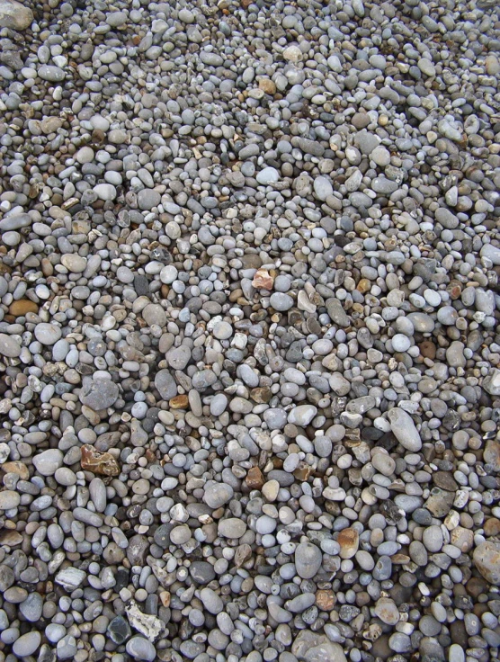 a bunch of rocks scattered all around