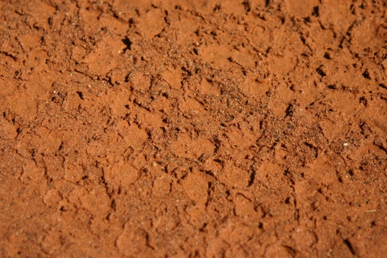 a dirt ground with small tiny rocks on it