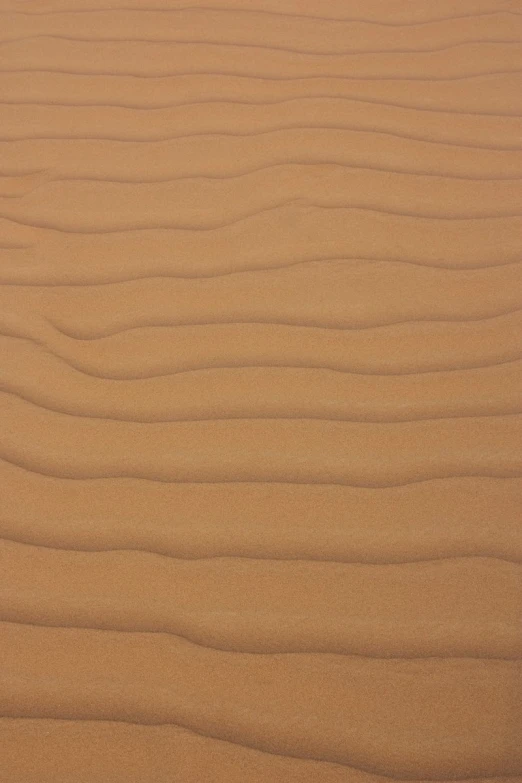 a sandy area with lots of waves in the sand