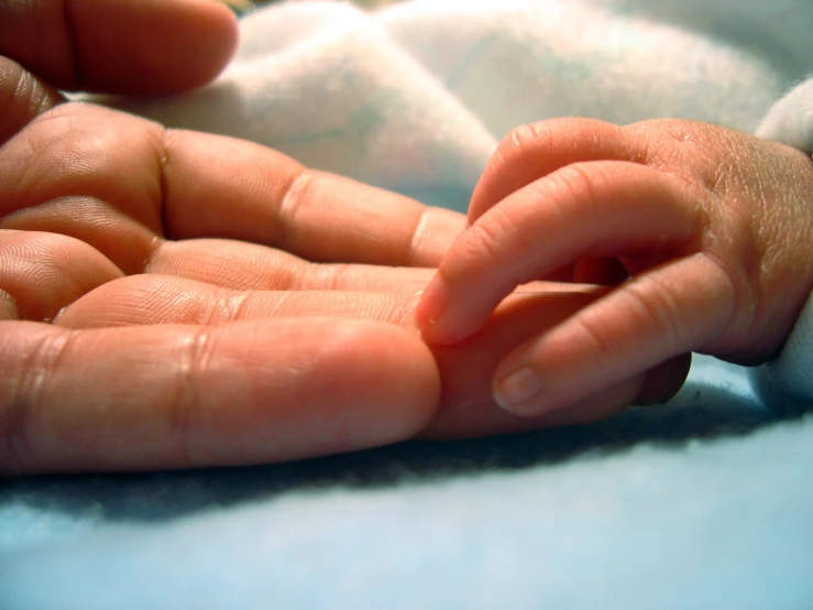 a hand holding an infant is being held by the adult