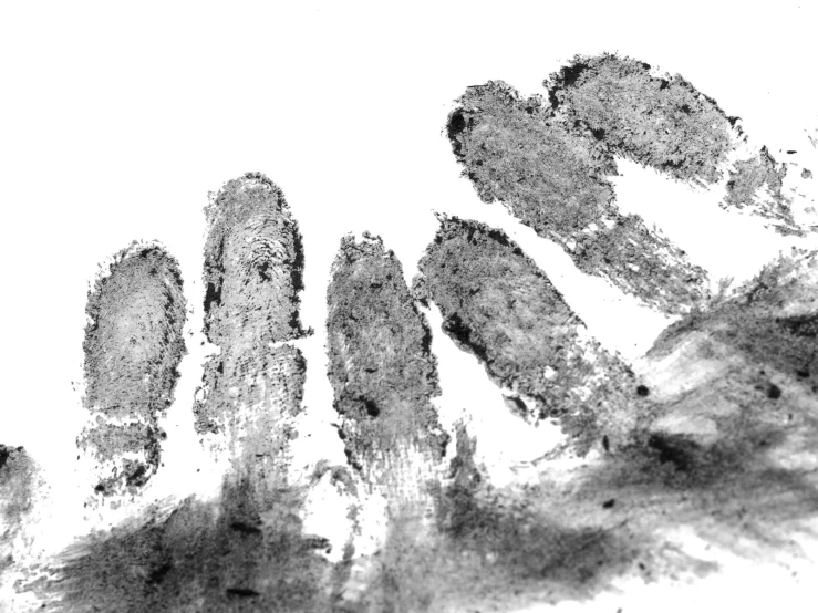a black and white picture of some type of handprint