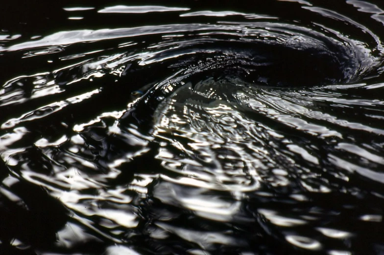 a circular object with many drops of water on it