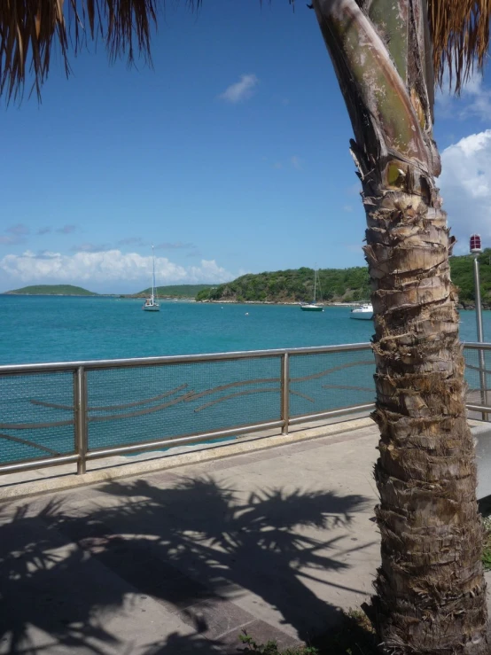 the tropical coast near the ocean is blue