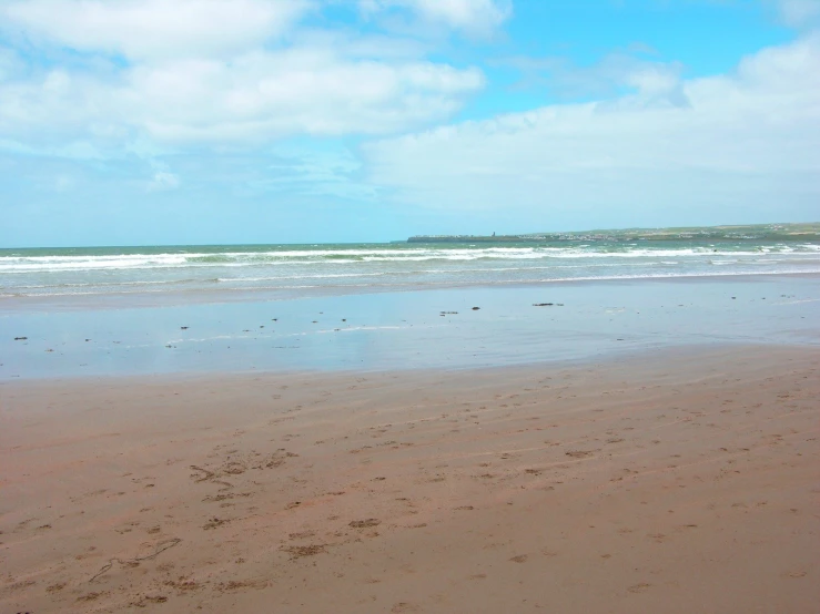 a person is walking along the beach with a dog