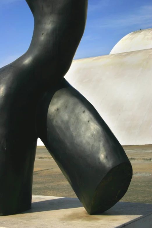 the large sculpture is made of a piece of black leather