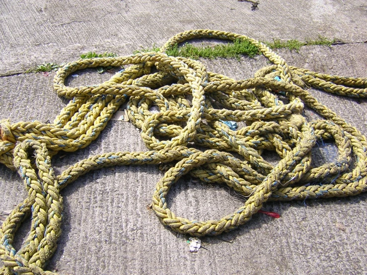 a rope sitting on the ground next to a patch of grass