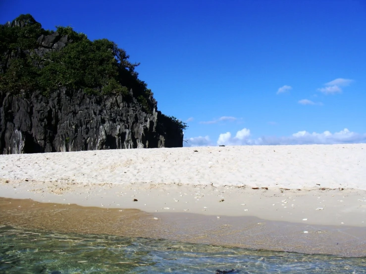 a beach with a small cliff and some trees