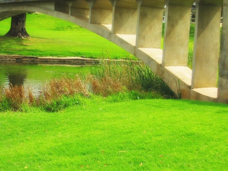 the grass is green near a stone bridge