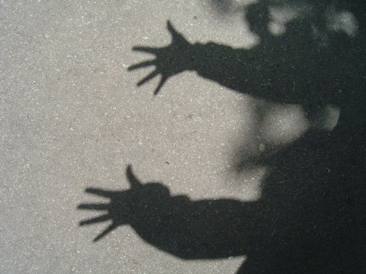 shadow of two hands that have been cast on a concrete floor