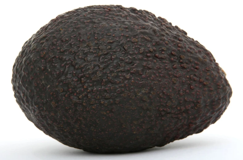 an image of an avocado that looks old