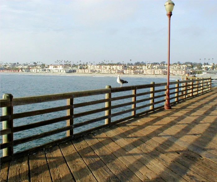 a pier and light pole with a bird on top