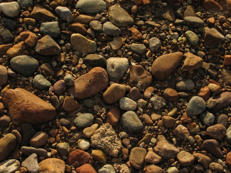 rocks and pebbles are all gathered together on the ground