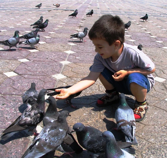 a boy feeding a flock of pigeons with his hands