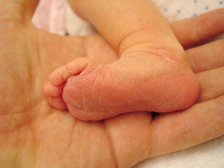 a person holding a baby in their hand