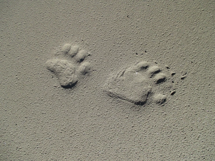 two people are walking in the sand with their feet