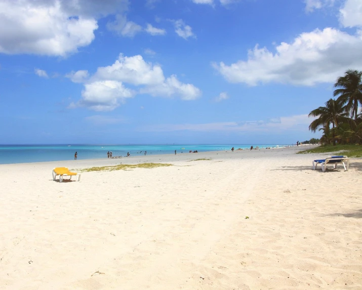 beach area with lawn chairs and umbrellas on a sunny day