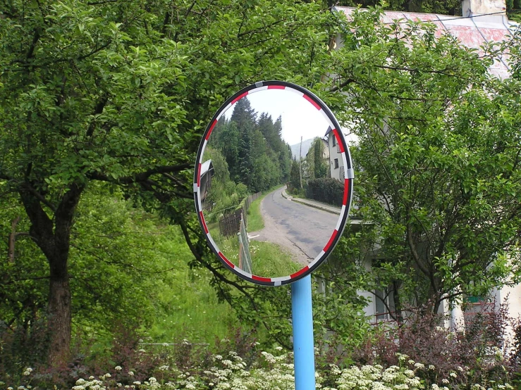 a large mirror on the side of a road reflecting the trees and flowers