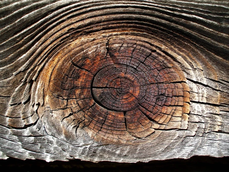 a wooden surface showing a circular cut in the wood