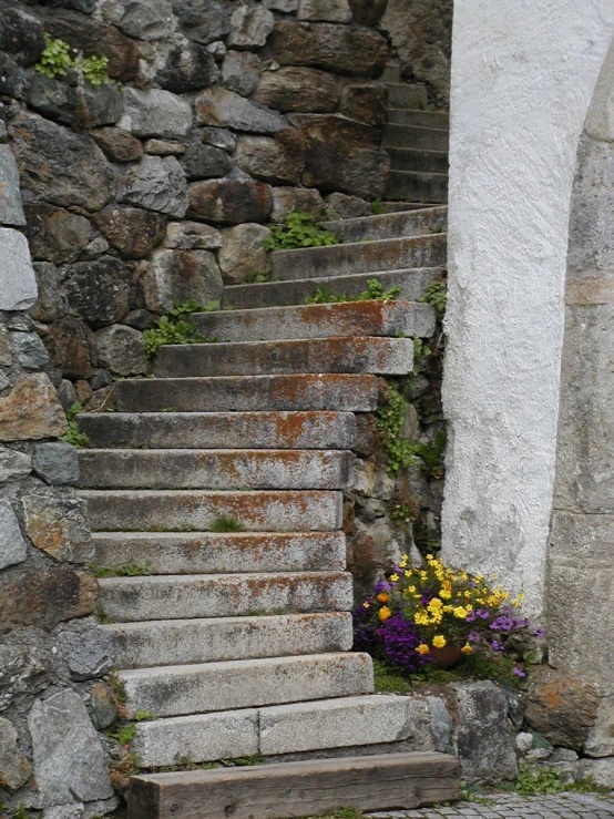 the stone steps are made to be used as flowers or a planter