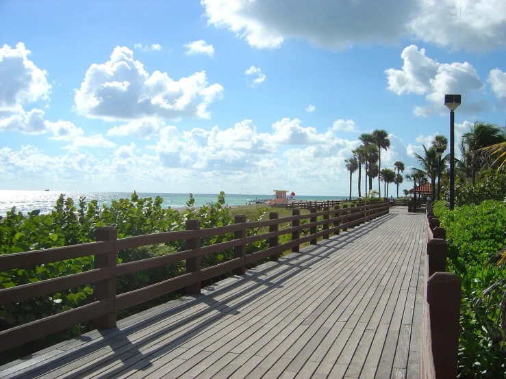 an empty boardwalk on a beach with lots of palm trees