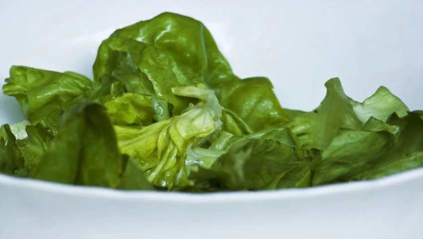 some green lettuce is sitting in a white bowl