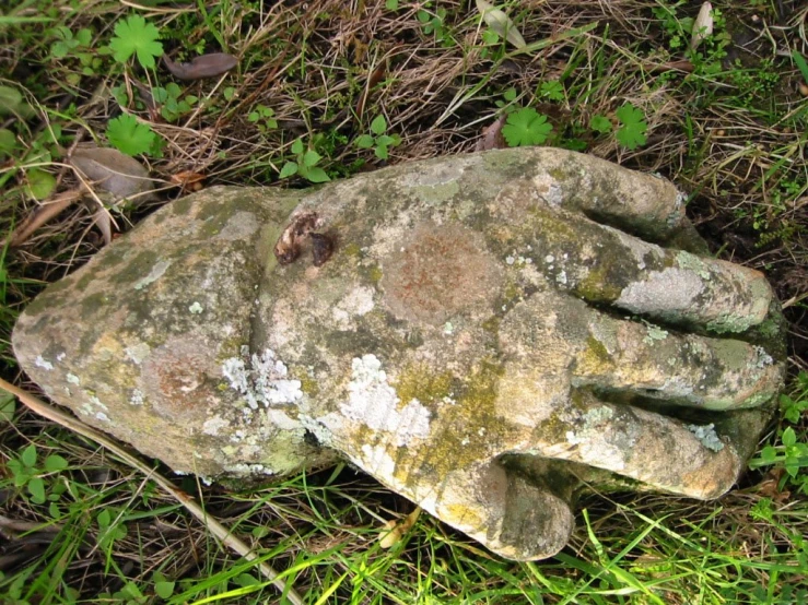 a hand shaped stone laying in the grass