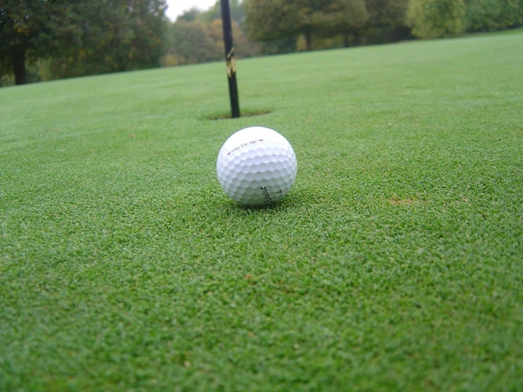 golf ball in the grass near a tee