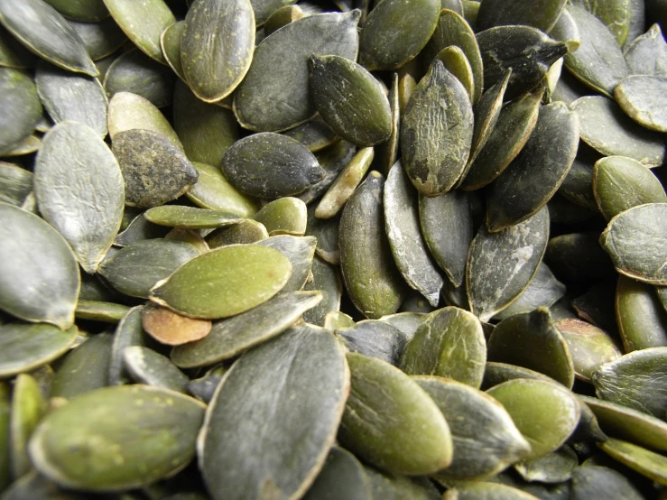 close up view of pumpkin seeds that have been toasted and are un - cooked