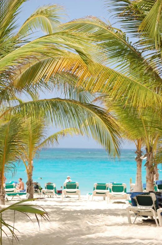 a beach with palm trees and two lawn chairs