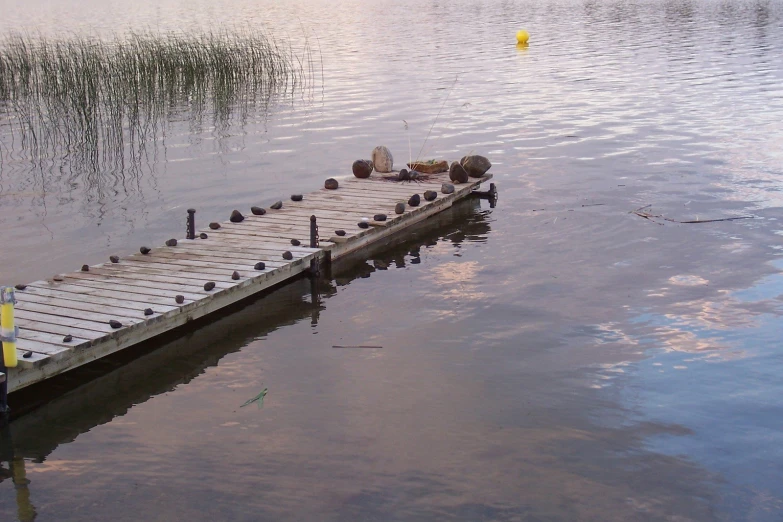 an old dock that has little birds sitting on it