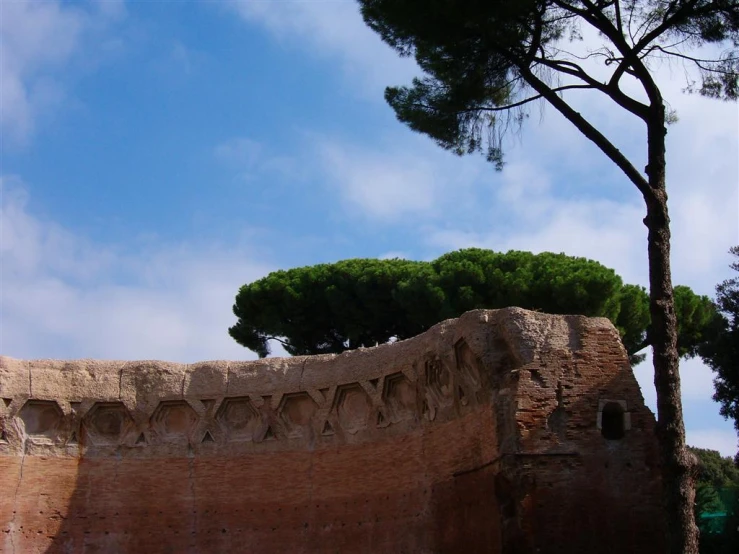 an ancient city wall has some trees on it