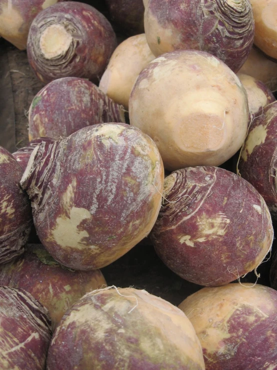 large bunch of dirty, wilted root vegetables gathered together