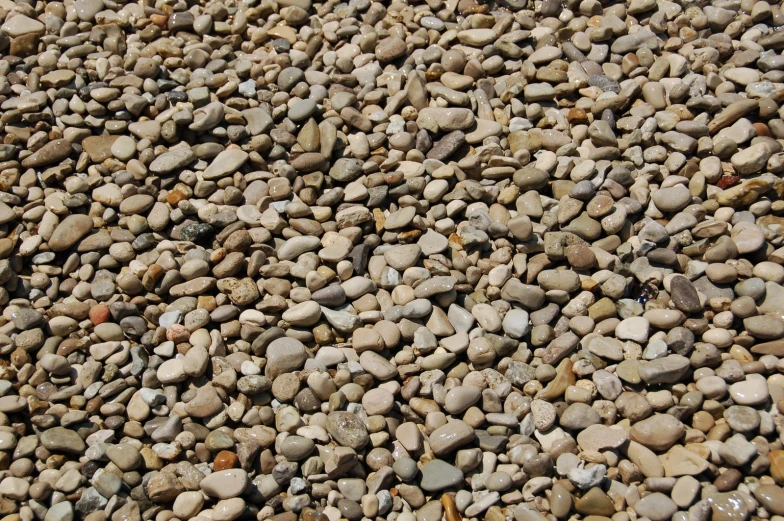 a pile of rocks with small leaves in the center of it