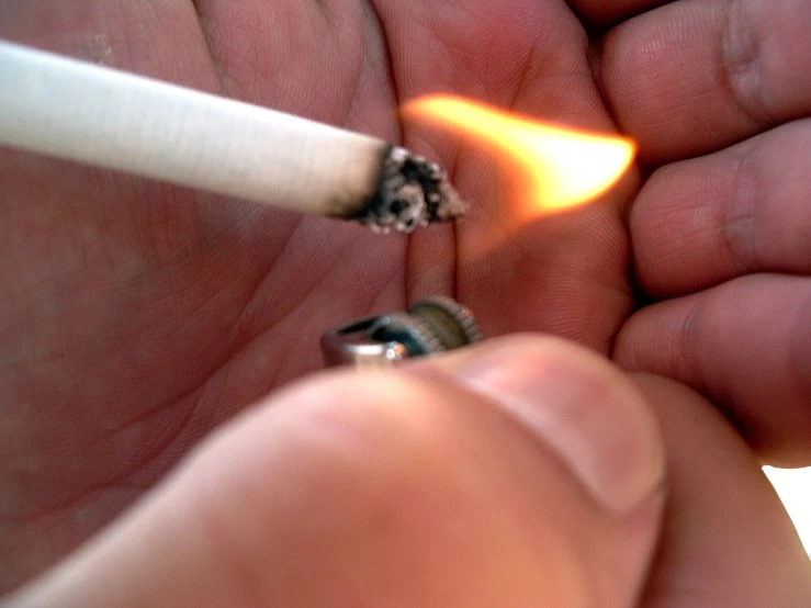 a hand holding an ash lighter in one hand