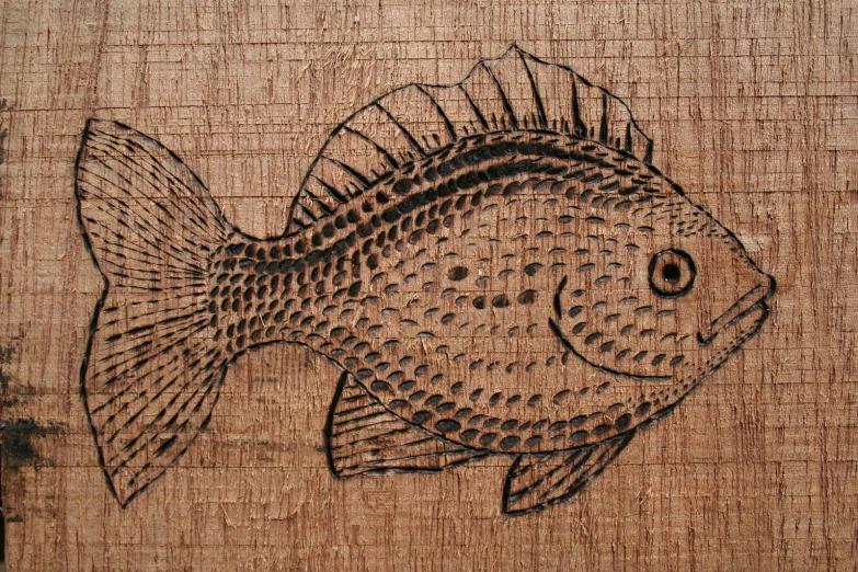 a drawing on wood of a fish on burlieg paper