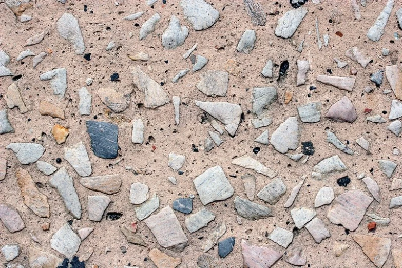 stones and sand with shells scattered around them