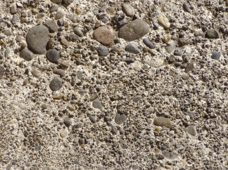 a black bird sitting on top of a stone covered floor