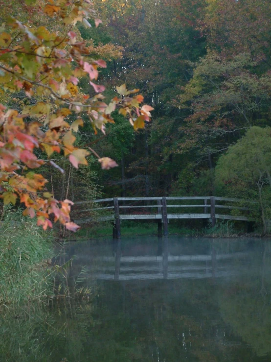 a bridge crosses over a misty pond near a forest