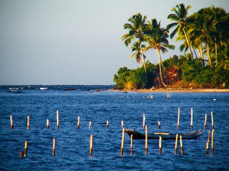 a boat sitting on the beach with some palm trees