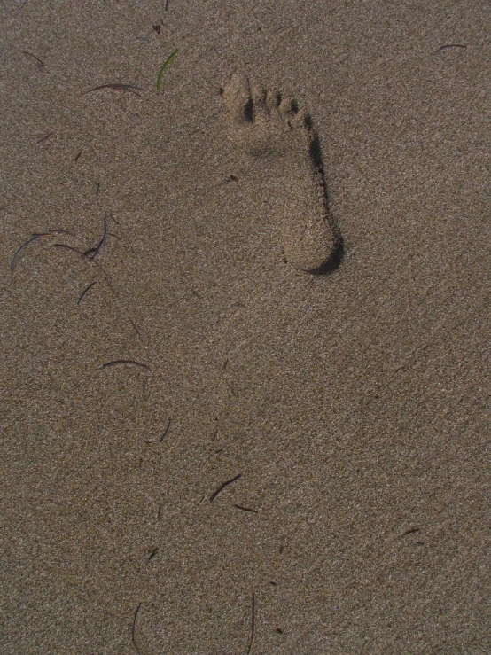 a footprints imprint in the sand as if to travel