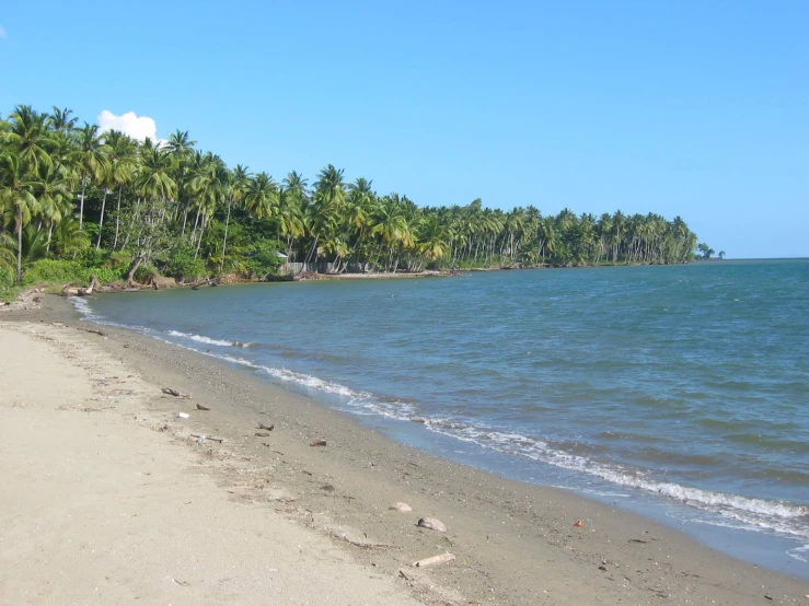 view of the shoreline and beach near the ocean