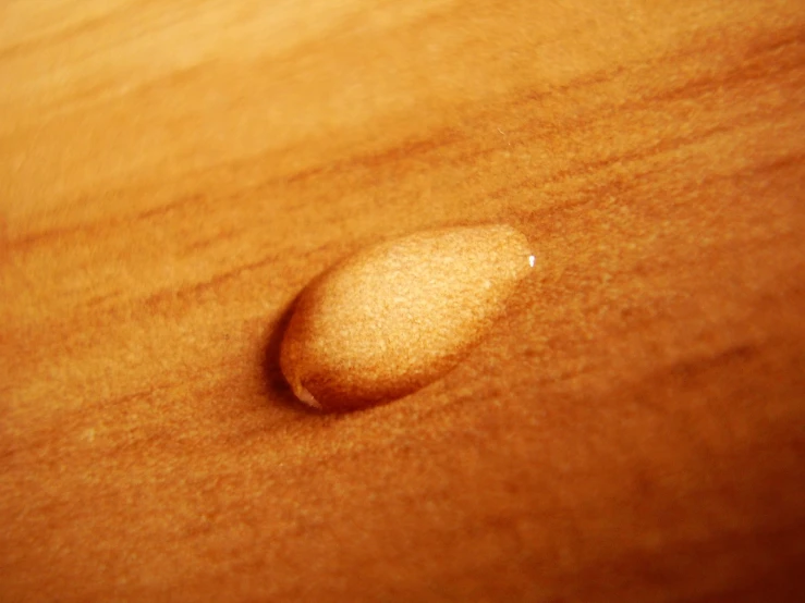 the rock is laying on top of the wooden table