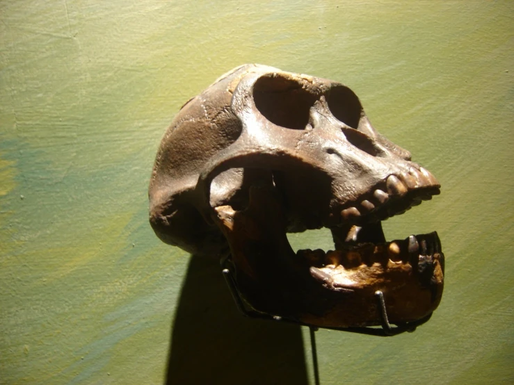 a carved human skull with its mouth open on a stick