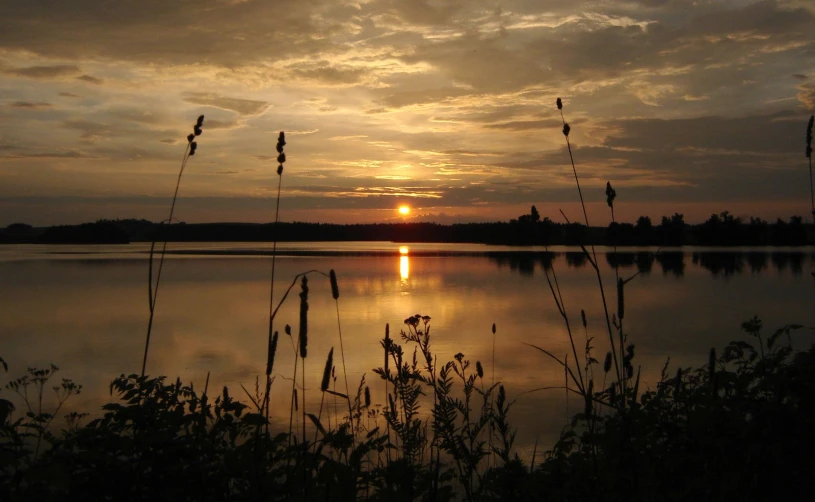 the sun sets over a lake with tall grass in foreground