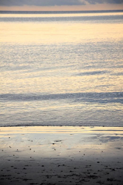 a person with a surfboard standing on the beach