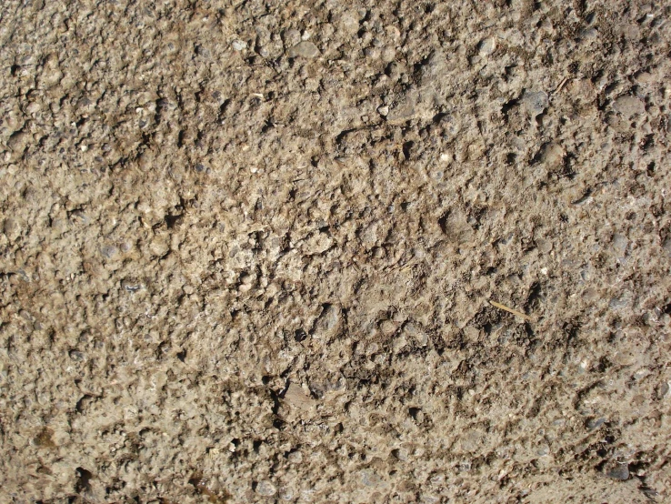 textured concrete is displayed on a wall